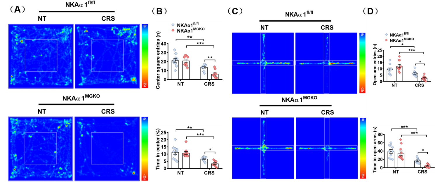 南方科技大学卞劲松团队揭示焦虑症发生的新机制和治疗新靶点
