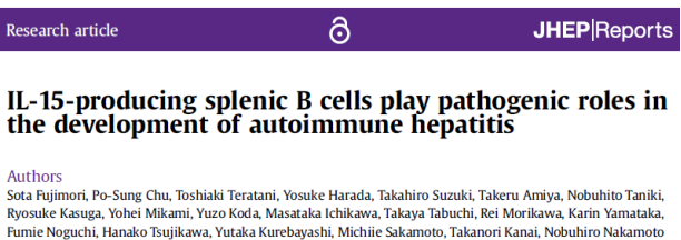 脾脏B细胞在自身免疫性肝炎中发挥致病作用