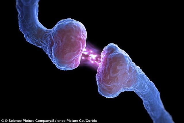科学家将能够为大脑抹去或植入记忆