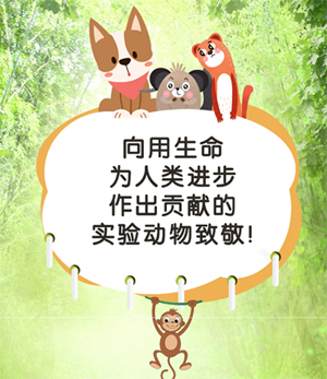 献花.jpg 献花.jpg