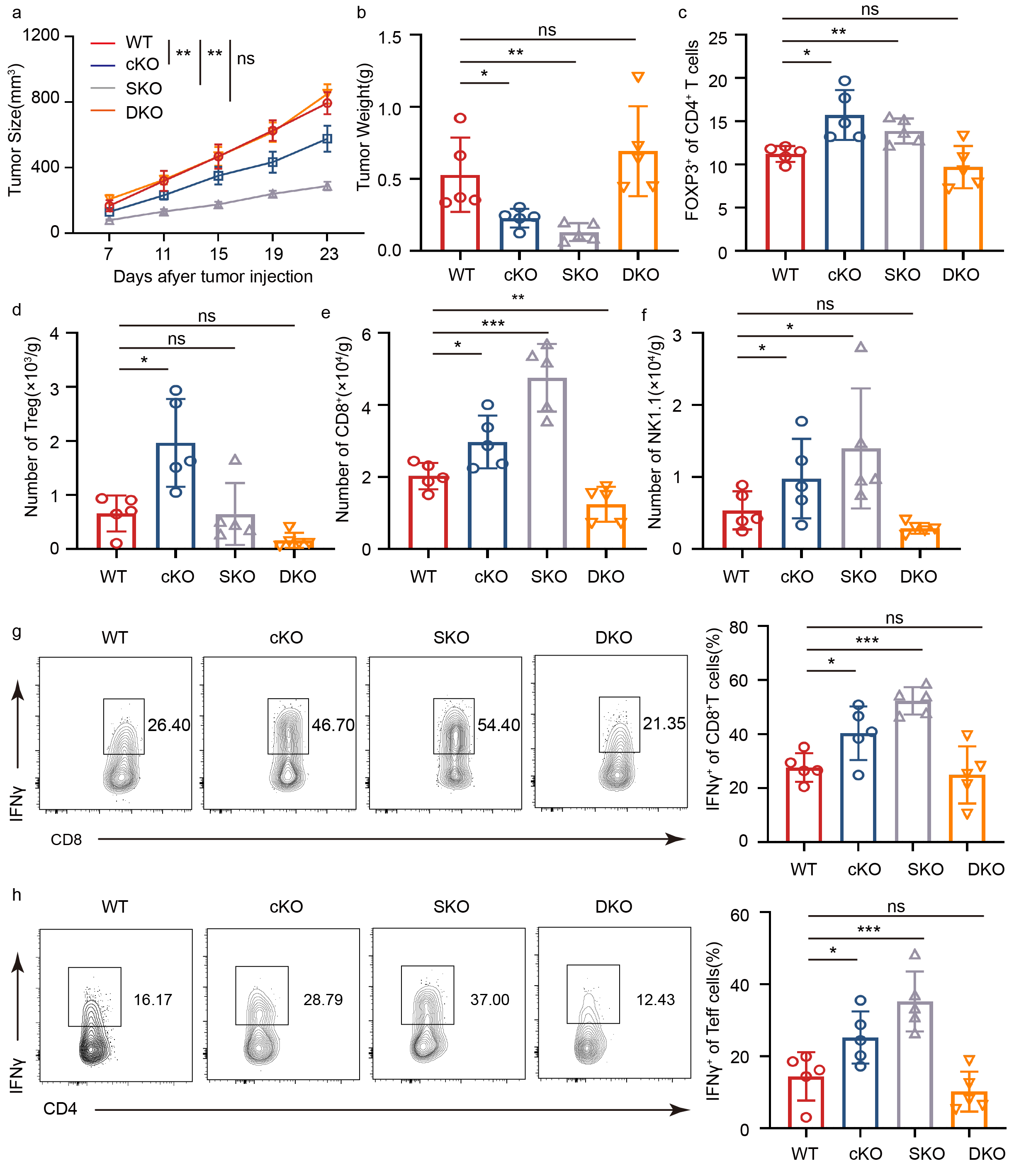 肿瘤浸润Treg细胞中负反馈环路调节免疫抑制功能的新机制