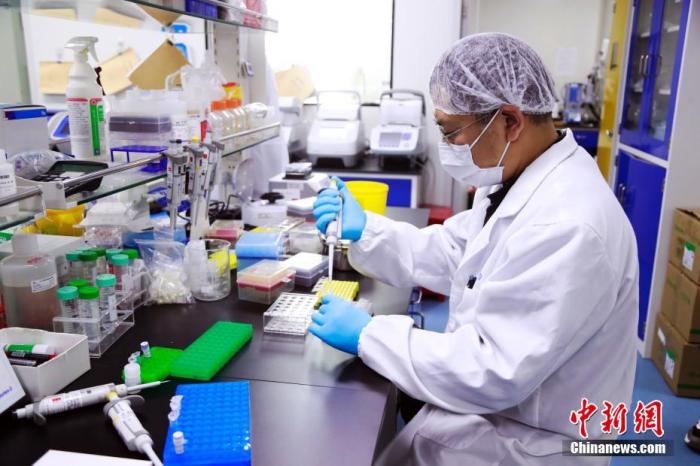 资料图：科研人员在研发新型冠状病毒疫苗。 汤彦俊 摄