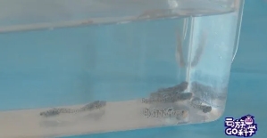 微信图片_20201021143634.jpg 微信图片_20201021143634.jpg