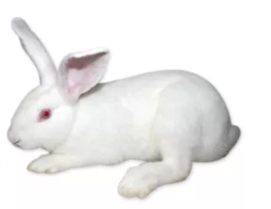 微信图片_20201021143753.jpg 微信图片_20201021143753.jpg