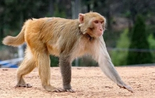 微信图片_20201021143952.jpg 微信图片_20201021143952.jpg