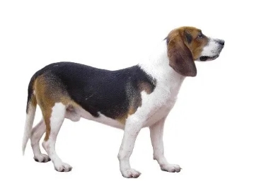 微信图片_20201021143839.jpg 微信图片_20201021143839.jpg