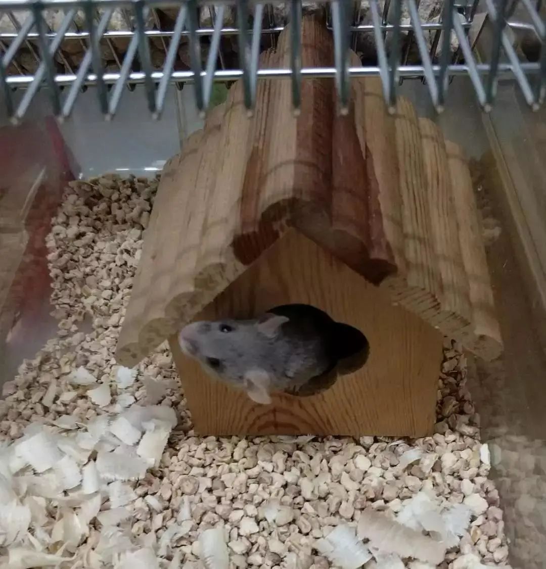 微信图片_20201021144120.jpg 微信图片_20201021144120.jpg