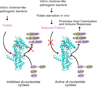 Figure thumbnail fx1