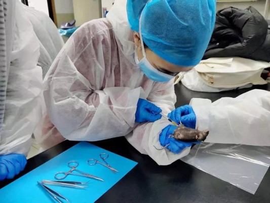 32a63c8677755fe9ed972b3f9f0ea014-sz_91845webp3.jpg 32a63c8677755fe9ed972b3f9f0ea014-sz_91845webp3.jpg