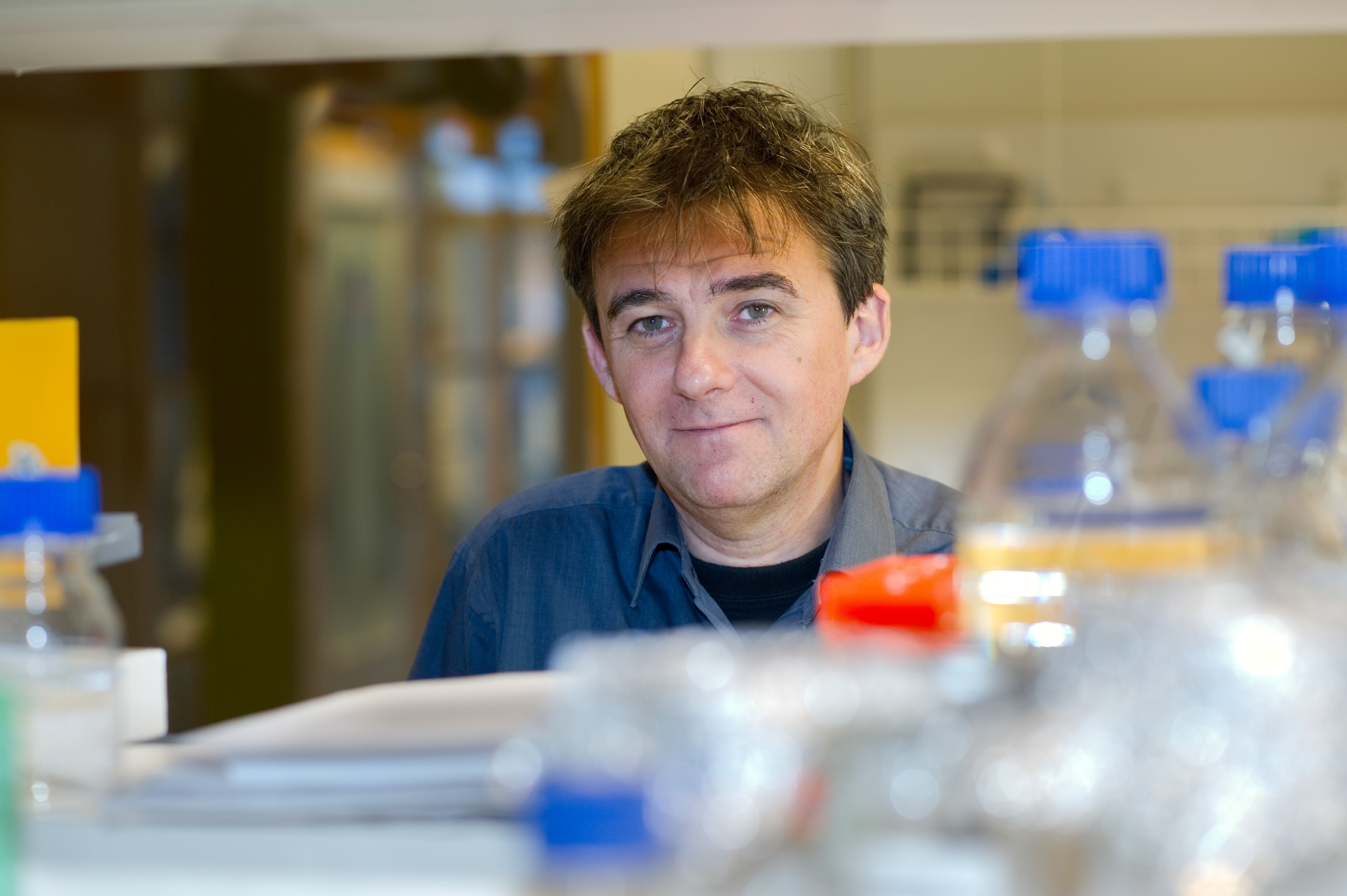 eLife:删除ALK7受体可预防肥胖发生