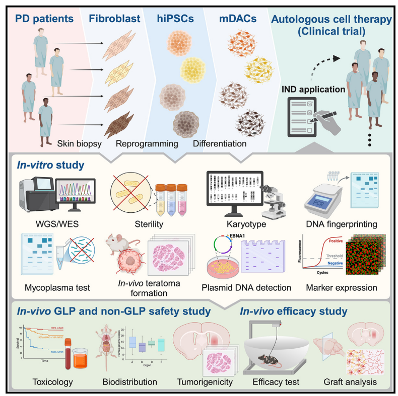 帕金森病 帕金森病