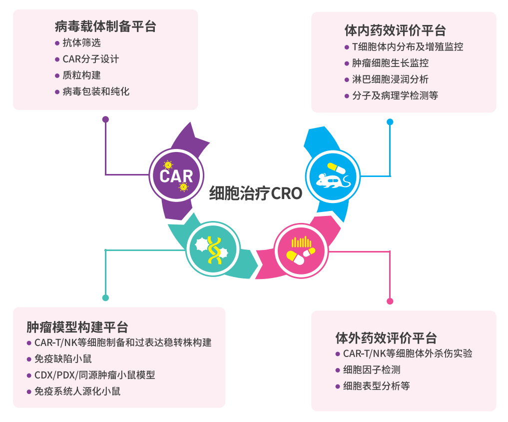 图片3-细胞治疗流程图.png 图片3-细胞治疗流程图.png