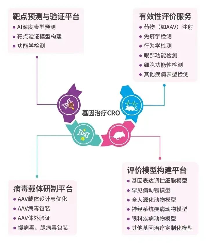 基因治疗药物筛选平台 基因治疗药物筛选平台
