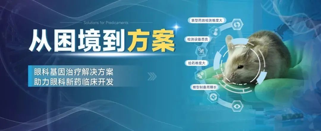 基因治疗药物筛选平台 基因治疗药物筛选平台