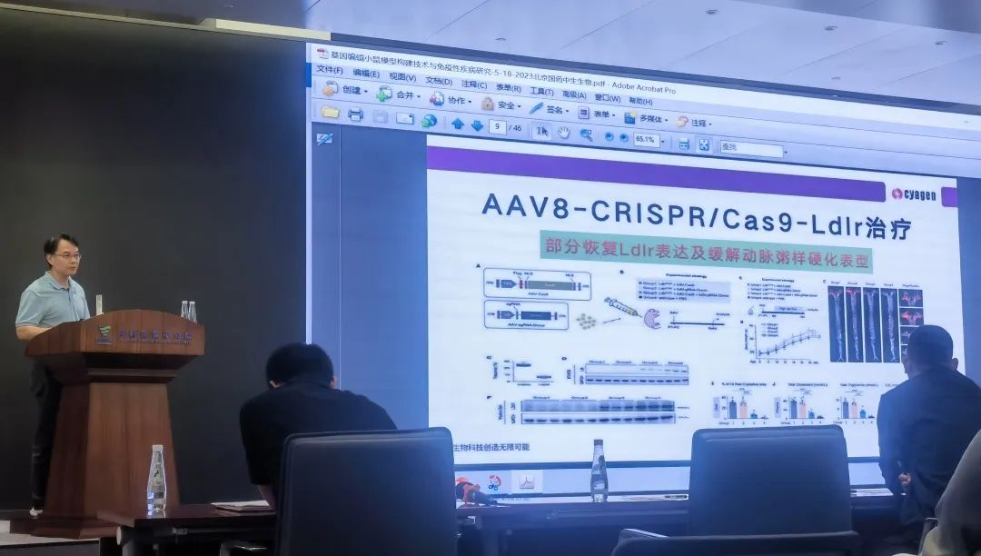 聚焦动物模型的构建与应用