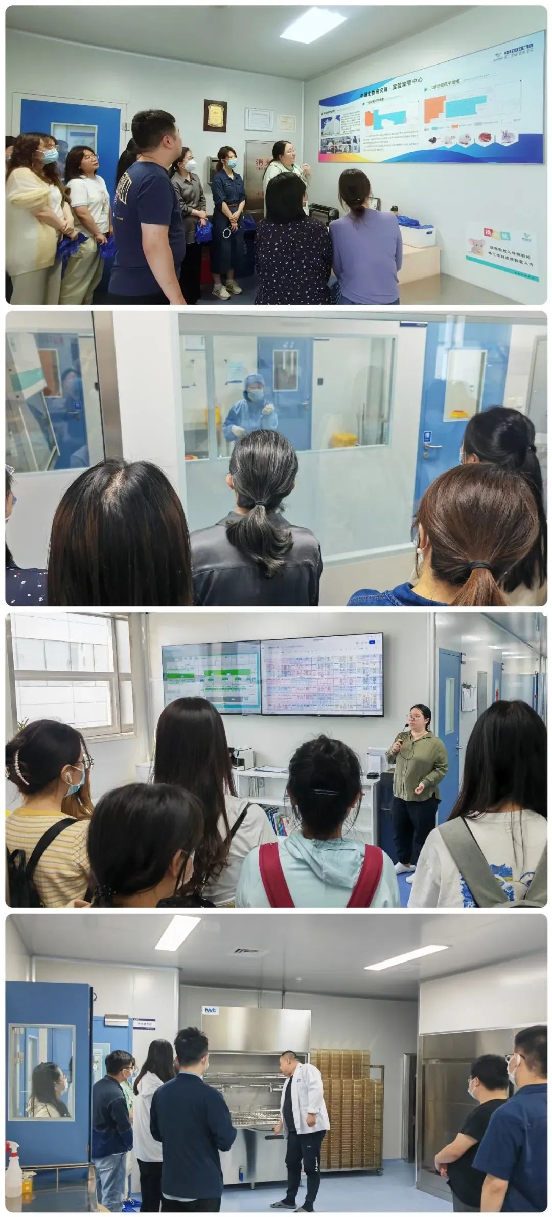 聚焦动物模型的构建与应用