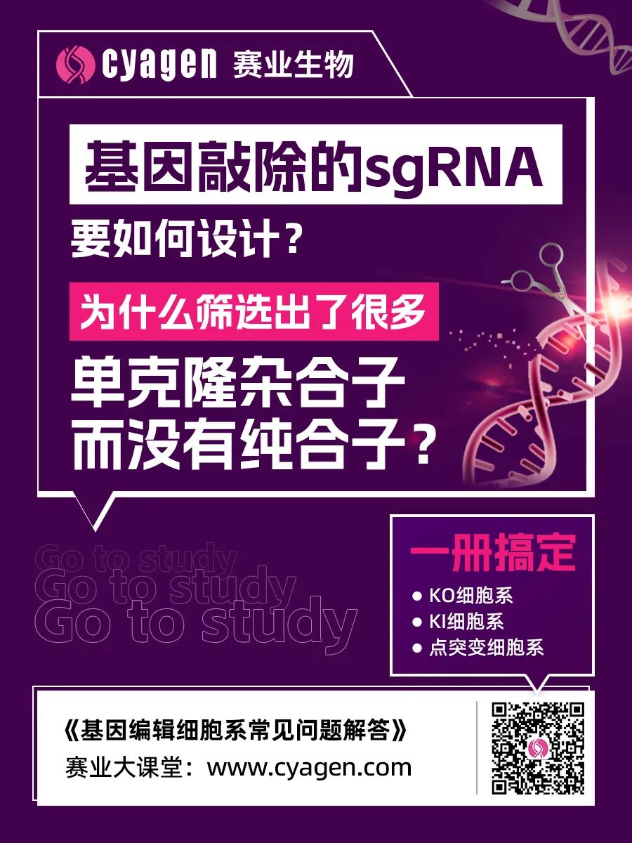 基因编辑敲入细胞模型构建的挑战和解决方案