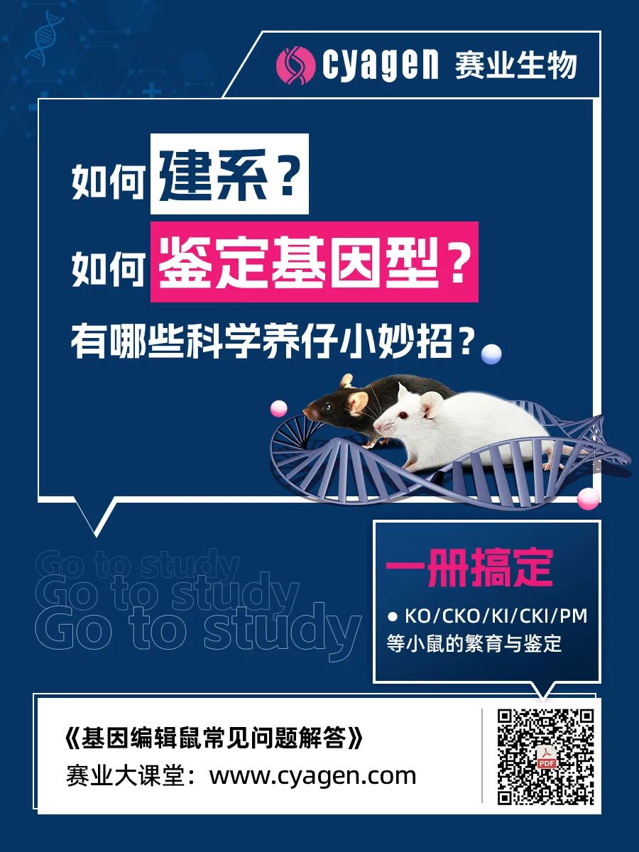 基因编辑小鼠模型构建技术及其应用研究 基因编辑小鼠模型构建技术及其应用研究