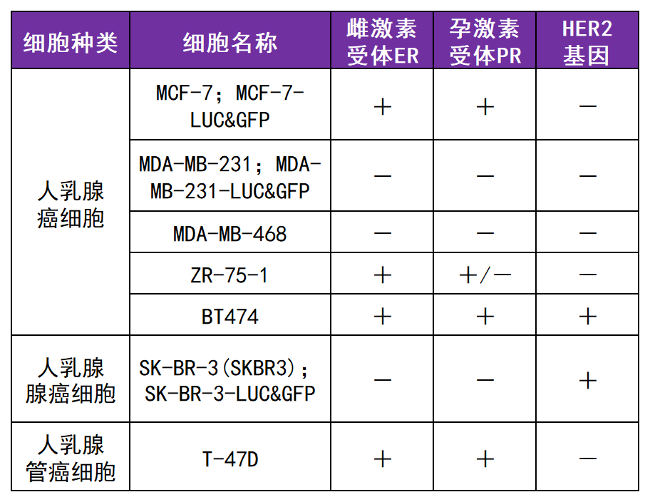 乳腺癌动物模型构建及应用案例
