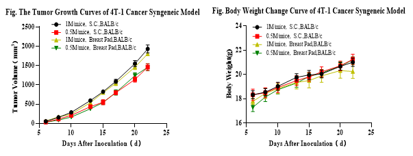 乳腺癌动物模型构建及应用案例