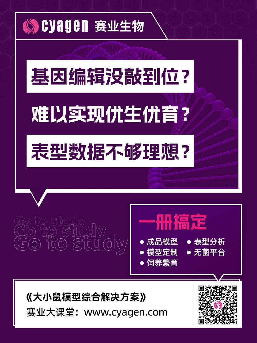 基因编辑载体的构建技术及其应用研究 基因编辑载体的构建技术及其应用研究