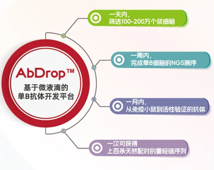 探索全人源抗体的“进击之路”