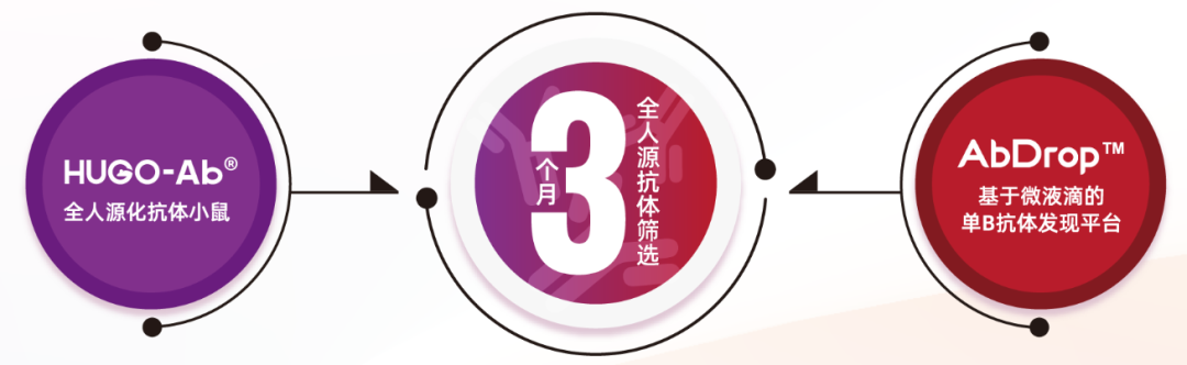 探索全人源抗体的“进击之路”