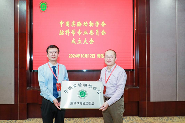 图片31.png 图片31.png