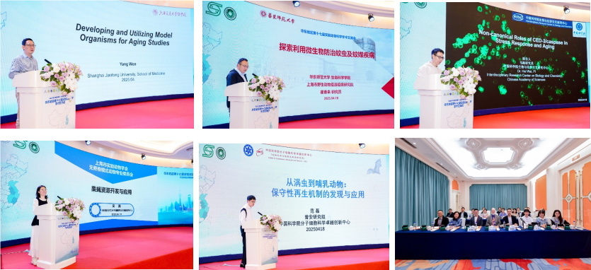 分会报告1.png 分会报告1.png