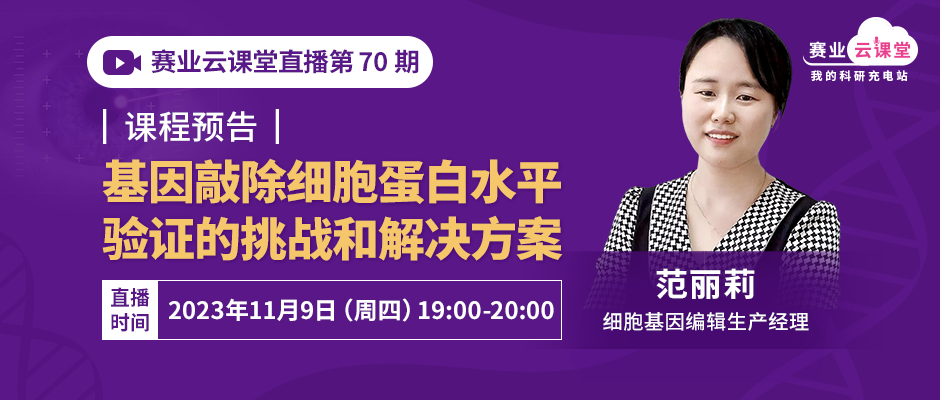 基因敲除细胞的构建、验证及难点梳理