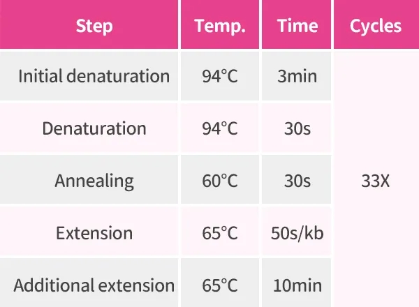 LongAmp聚合酶的PCR程序