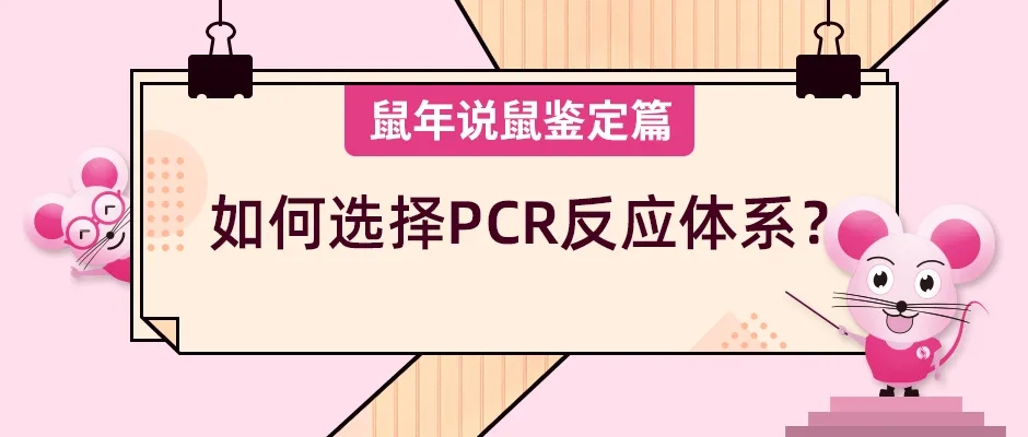 《鼠年说鼠》第十一期：如何选择PCR反应体系？