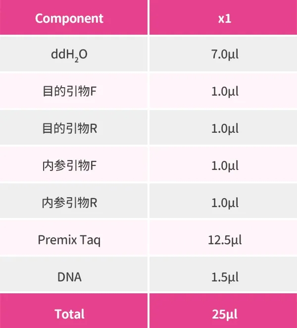 4条引物扩增小于1kb的片段体系