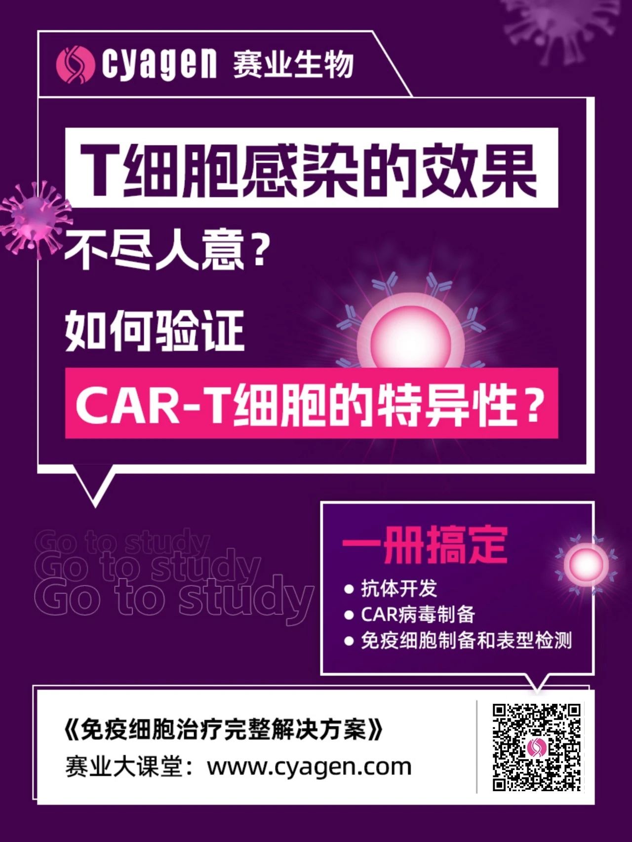 CAR-T细胞的结构设计策略及体外抗肿瘤活性评估介绍