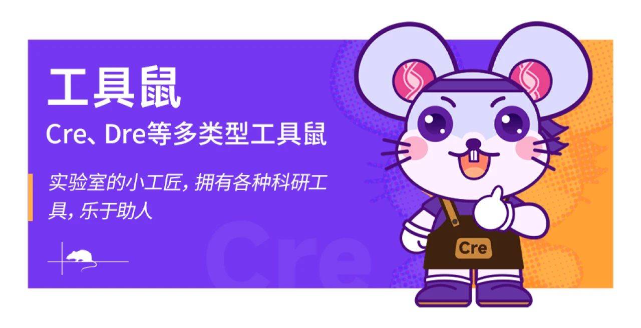 智鼠iMouse