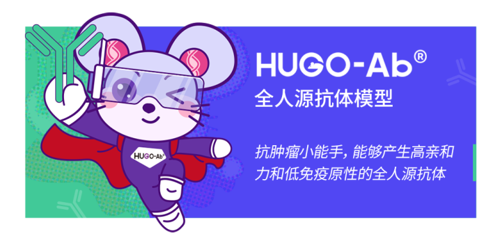 智鼠iMouse