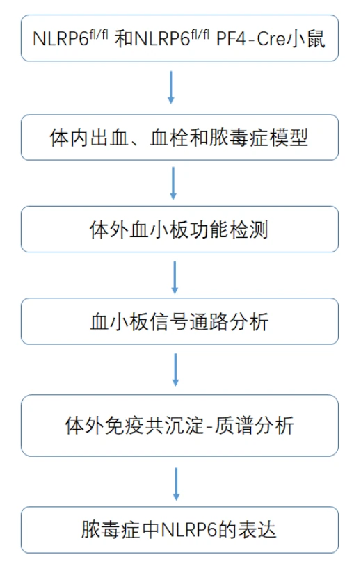 血小板参与血栓炎症反应的新机制