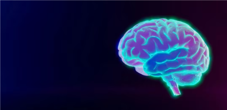 p25.png p25.png